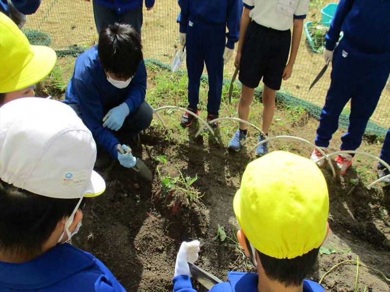 収穫の方法の説明_R